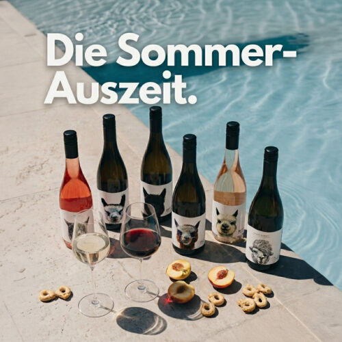 Sommerpaket für zu Hause